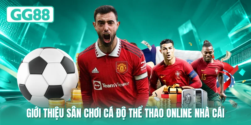 Giới thiệu sân chơi cá độ thể thao online nhà cái