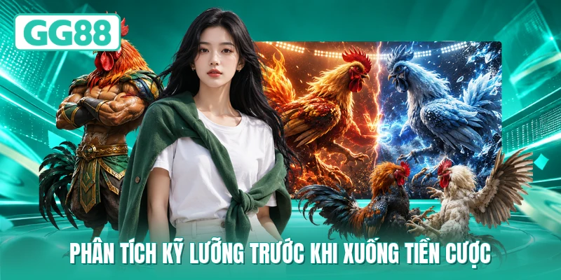 Phân tích kỹ lưỡng trước khi xuống tiền cược